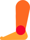 leg